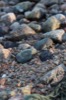 resIMG_20181123_145154_0476.JPG